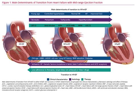 what is lvef in echo|heart failure lvef range chart.